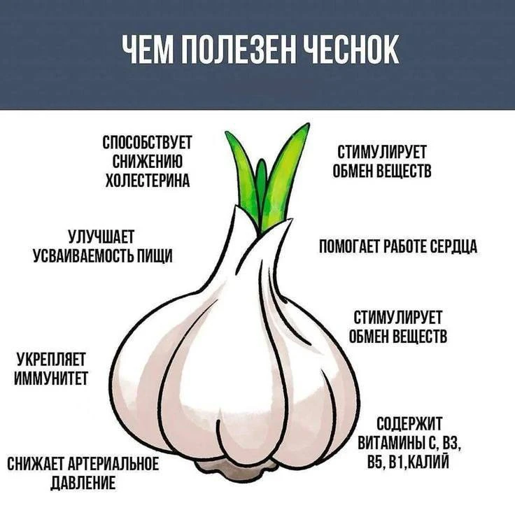 Признавайтесь, знали?