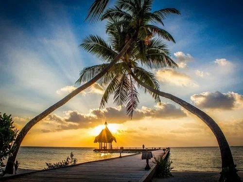 🌴Не скучные Мальдивы - Canareef Resort 4⭐️ — просторный остров, свой пляж и «Всё включ...