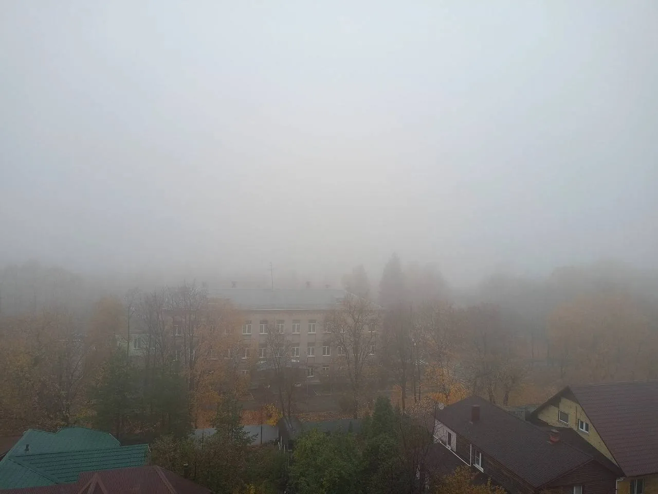 🌫️ Балашиха укуталась в густой туман!