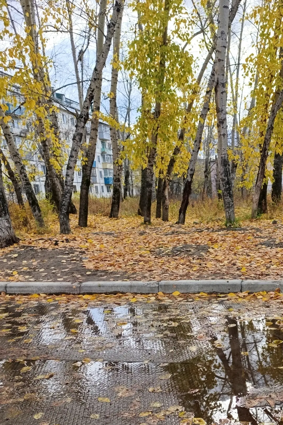 Второй этап конкурса "Фотокросс. Мой любимый Хабаровский край"