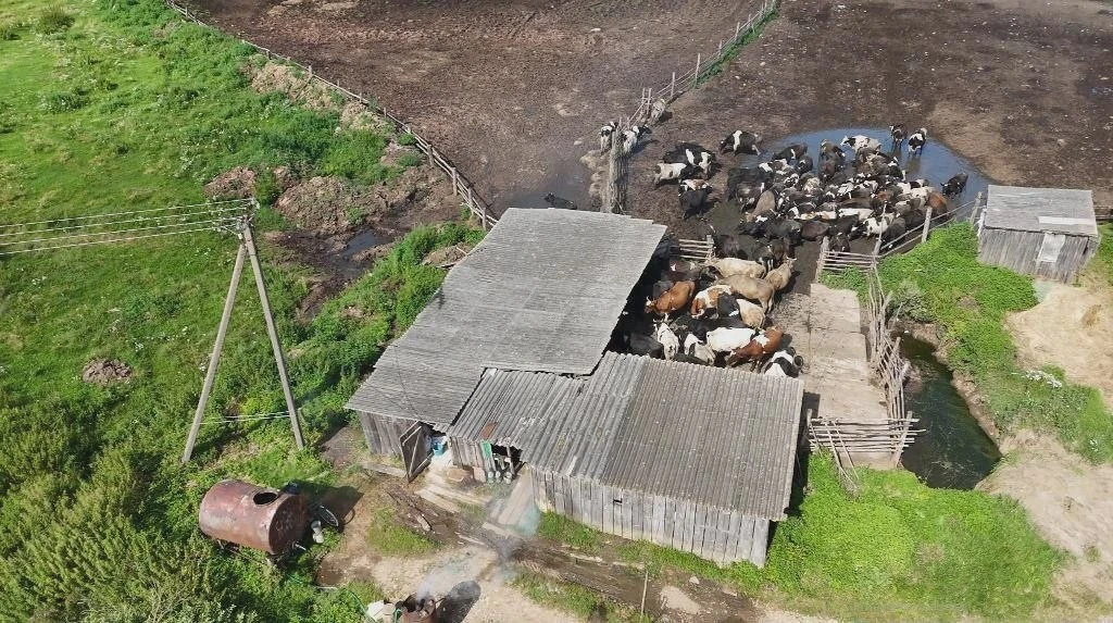 В Псковской области выявили 65 нарушений