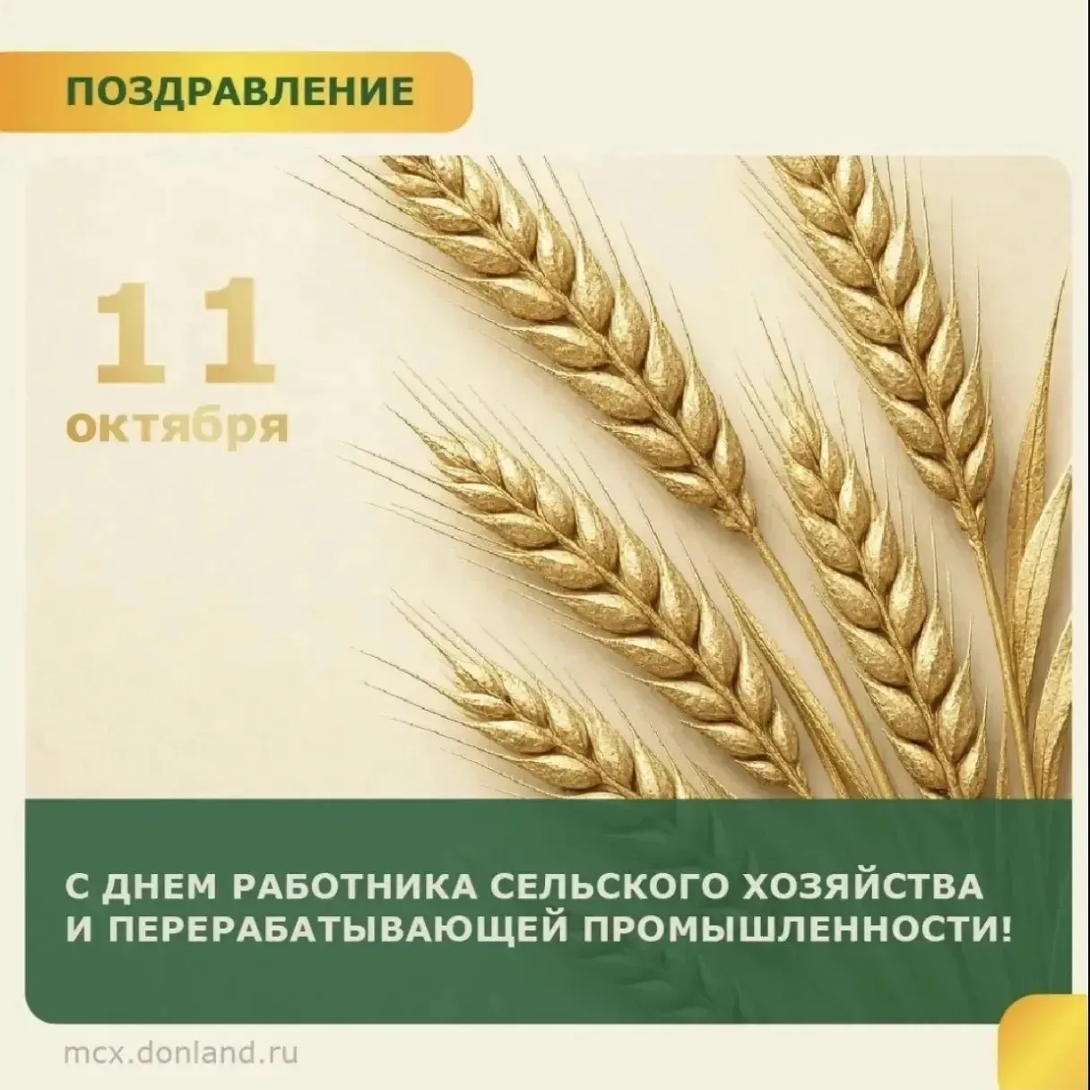 Дорогие труженики села, ветераны агропромышленного комплекса и перерабатывающей отрасли...