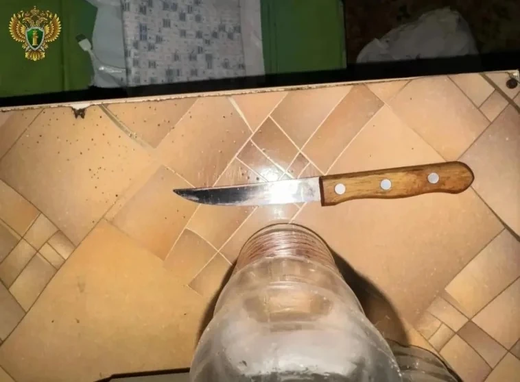 ⚡️Туляк проведет в тюрьме 12 лет за убийство знакомого