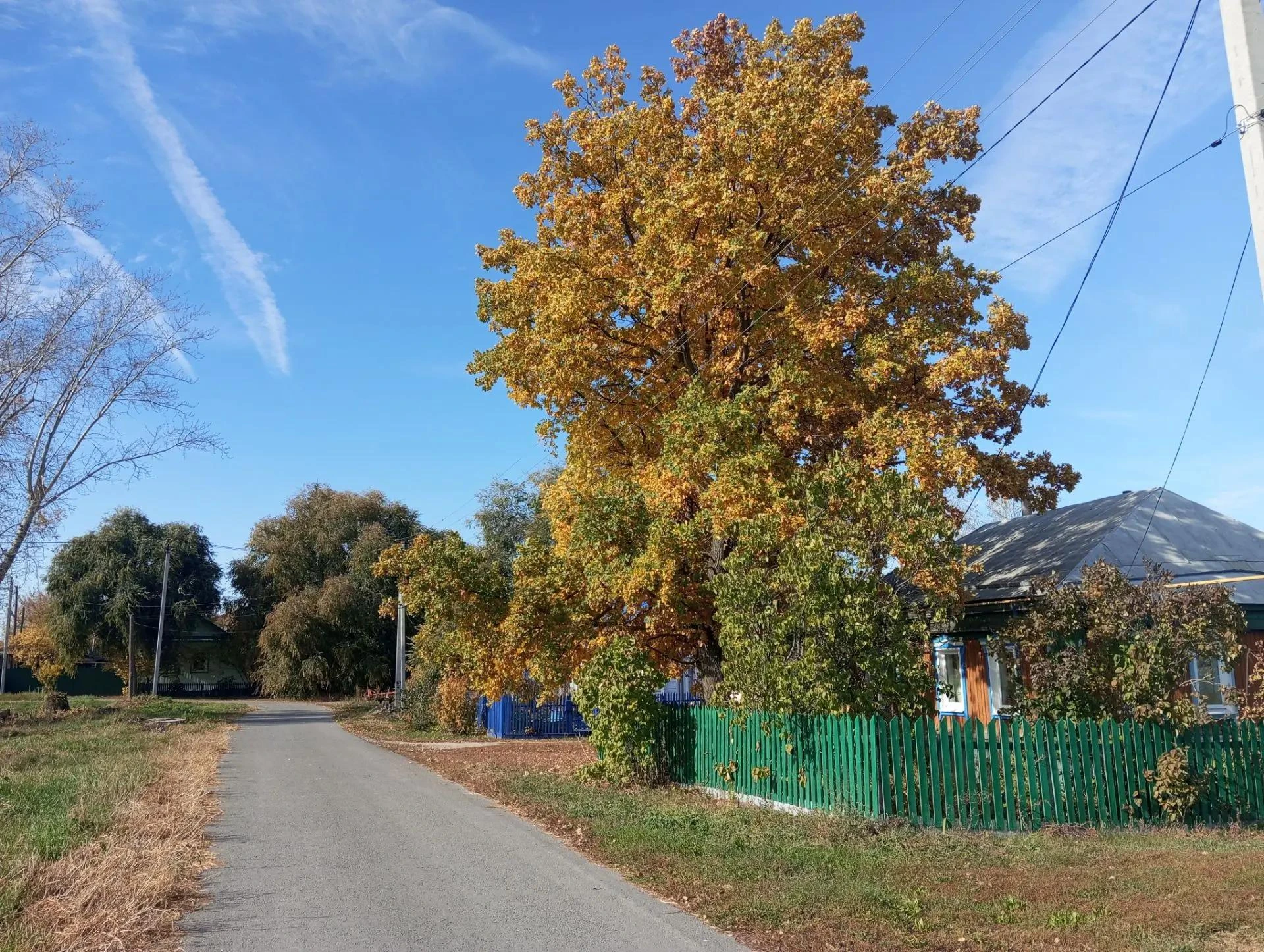 Доброе утро