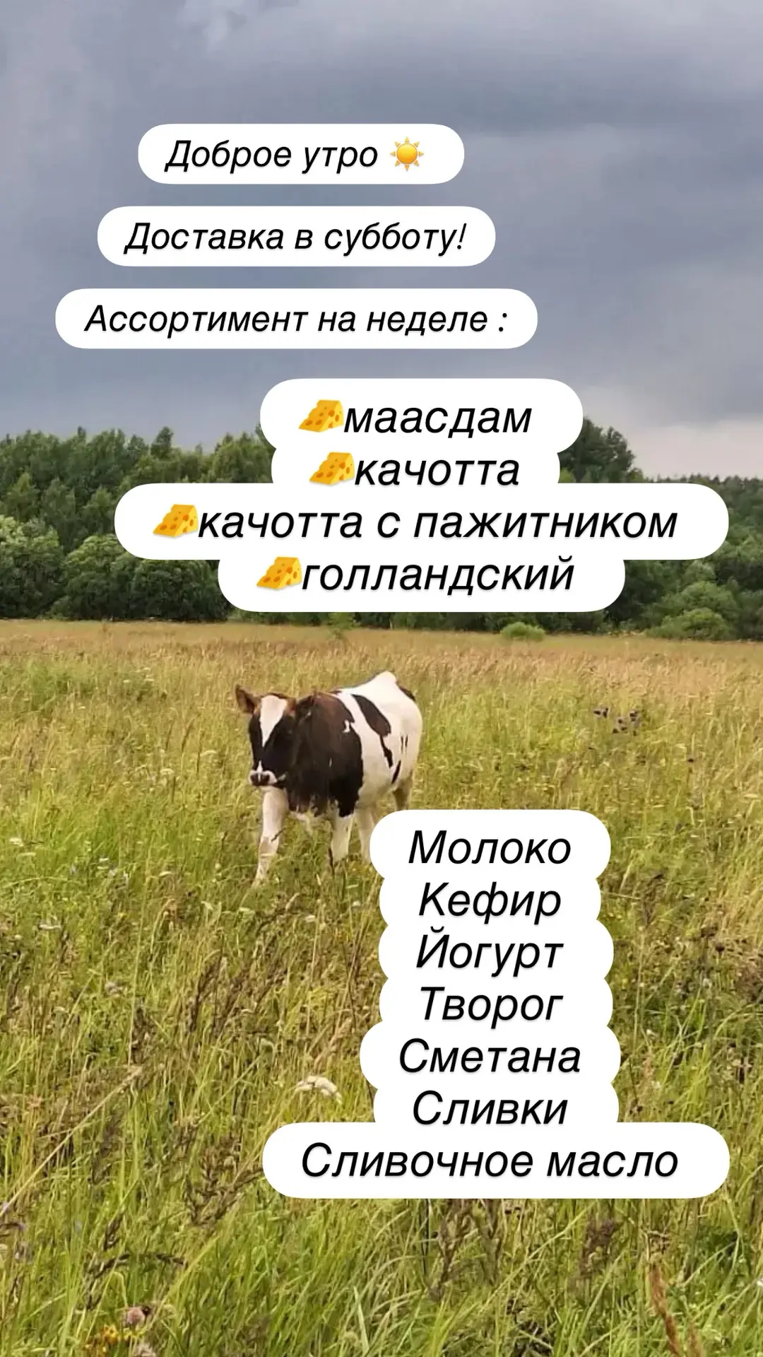 Принимаем заказы!