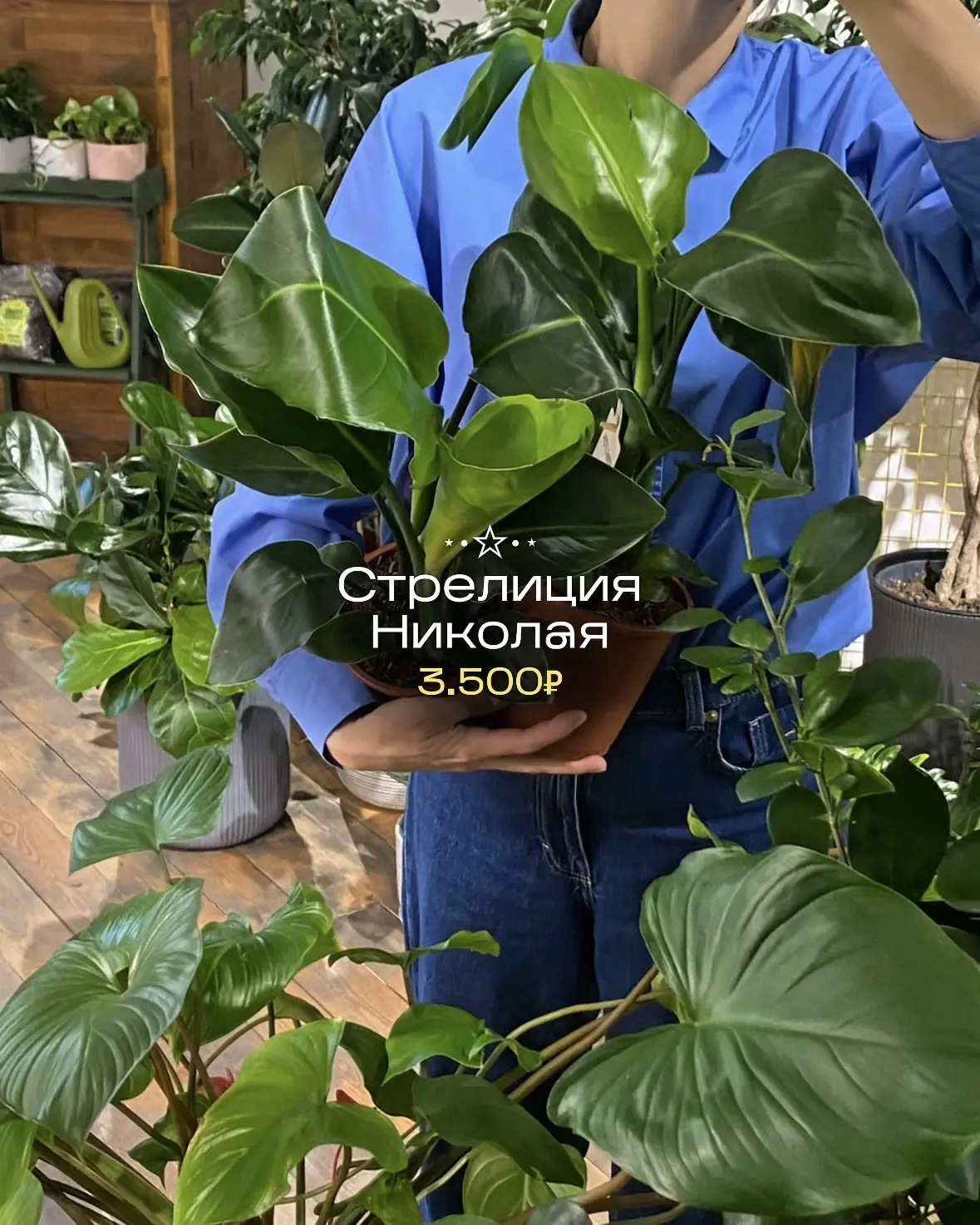 В «Июле» новые зелёные друзья! 🪴