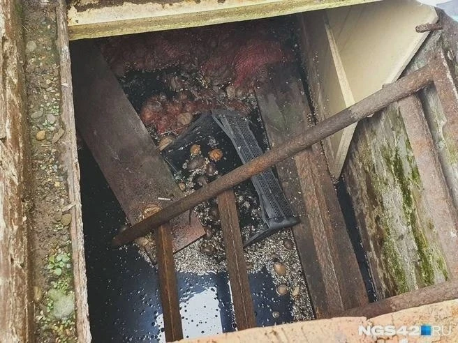 Подтопления в частном секторе Кемерова