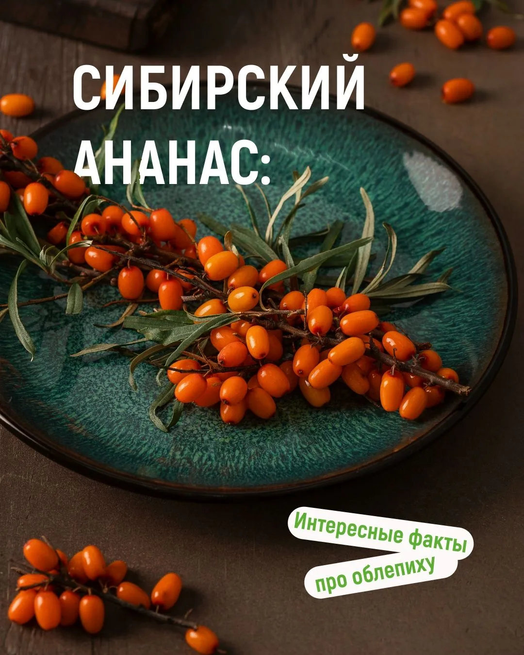 🍍 Облепиха или «сибирский ананас»