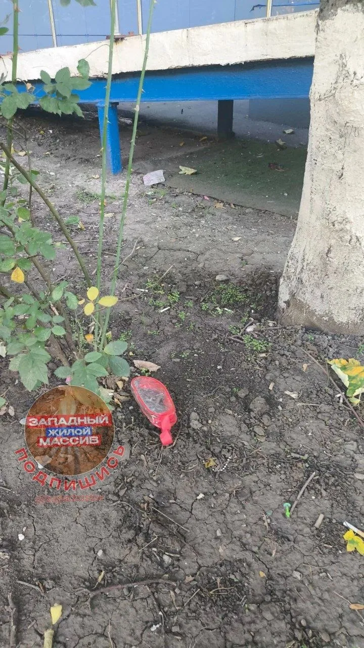 🏚 На Жмайлова, 11 жители жалуются на грязь и разбитые ступеньки