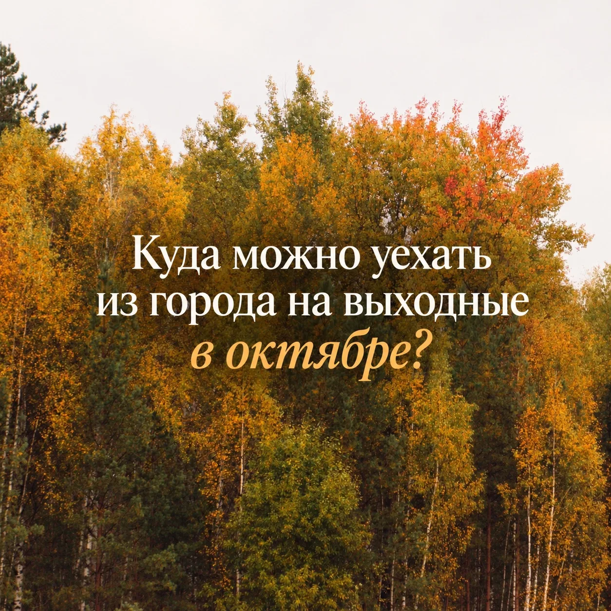 Кажется, у нас для вас есть идеальный план😋🧡