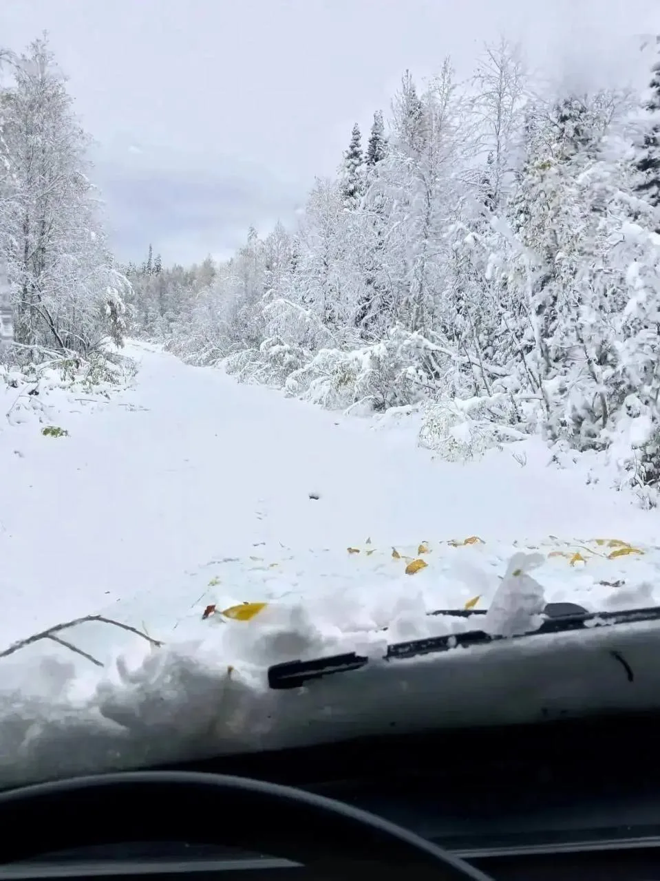 Осенняя Лужба😍