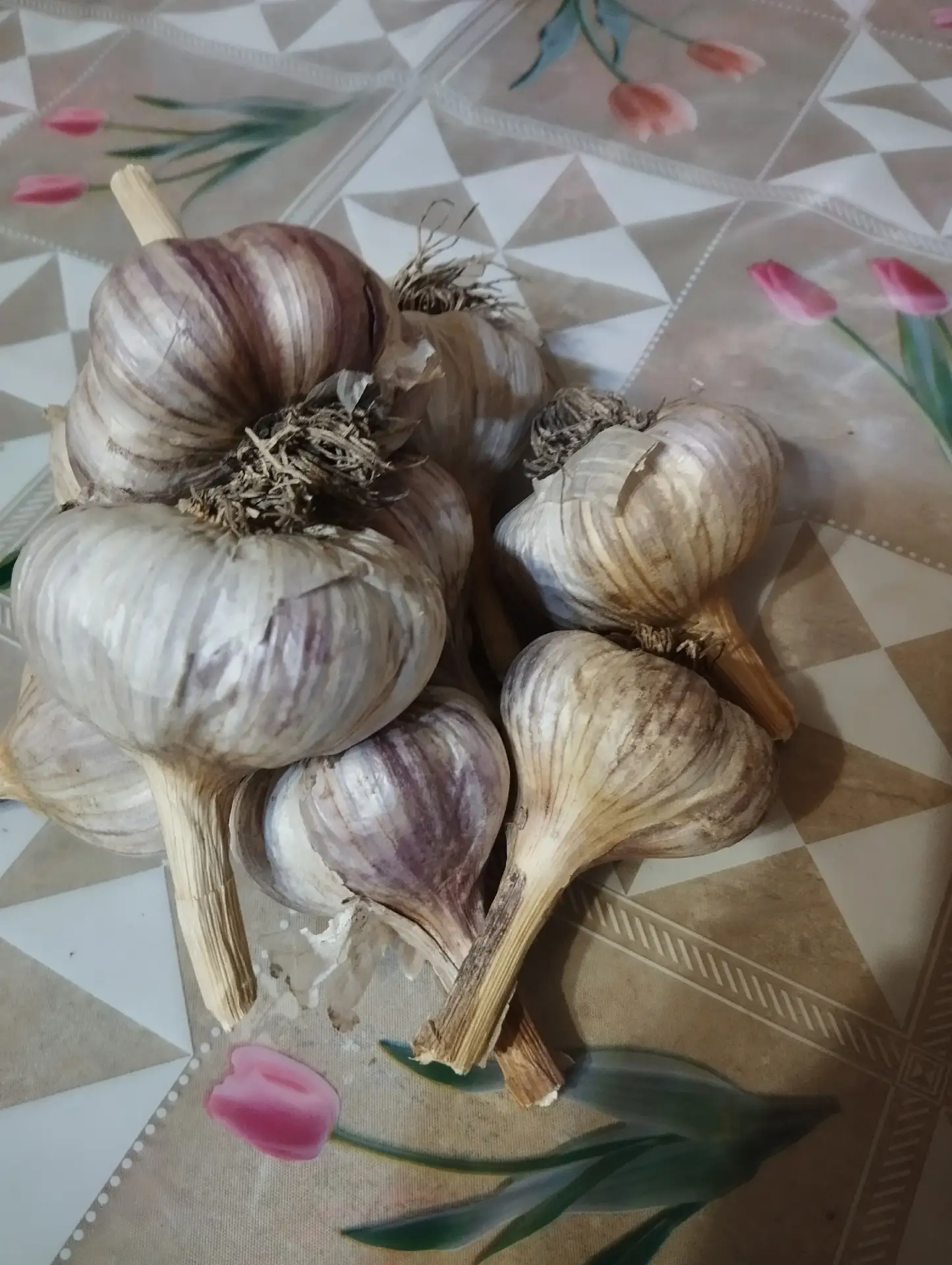 Продам чеснок 3 штуки за 100 руб.