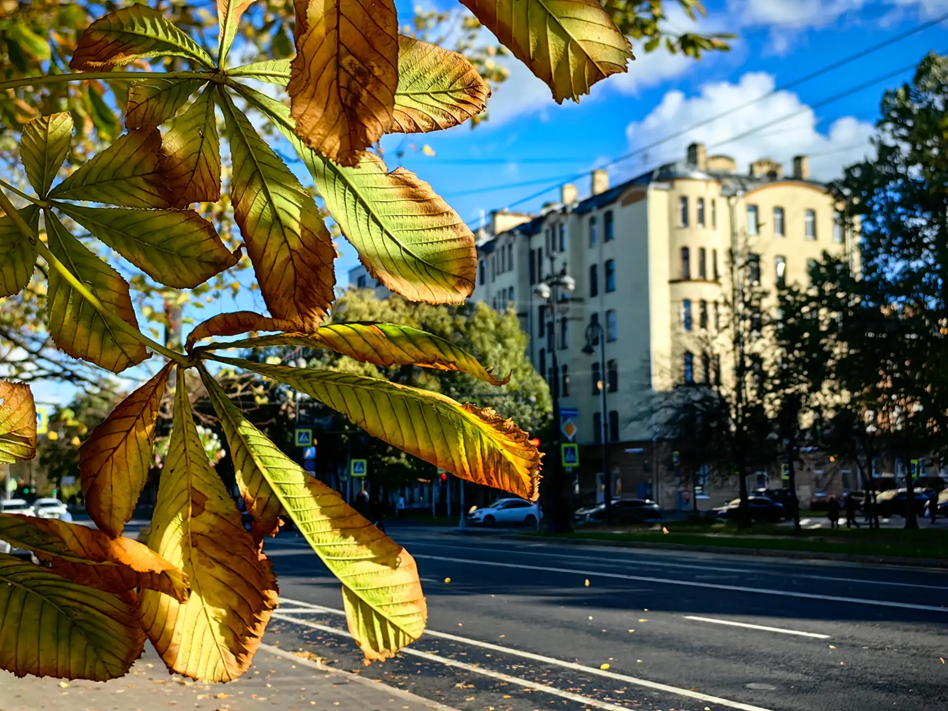 Вспоминаем солнечные деньки на любимом острове☀