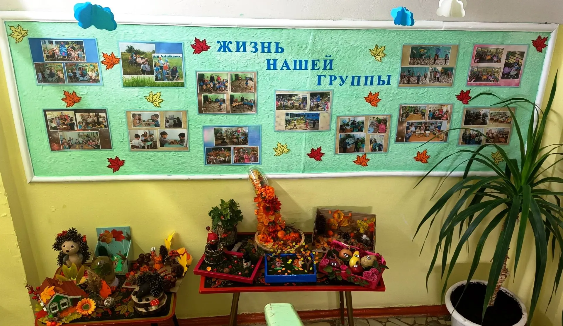 Проект «Красота осени»: итоги конкурса «Осень в гости к нам пришла»