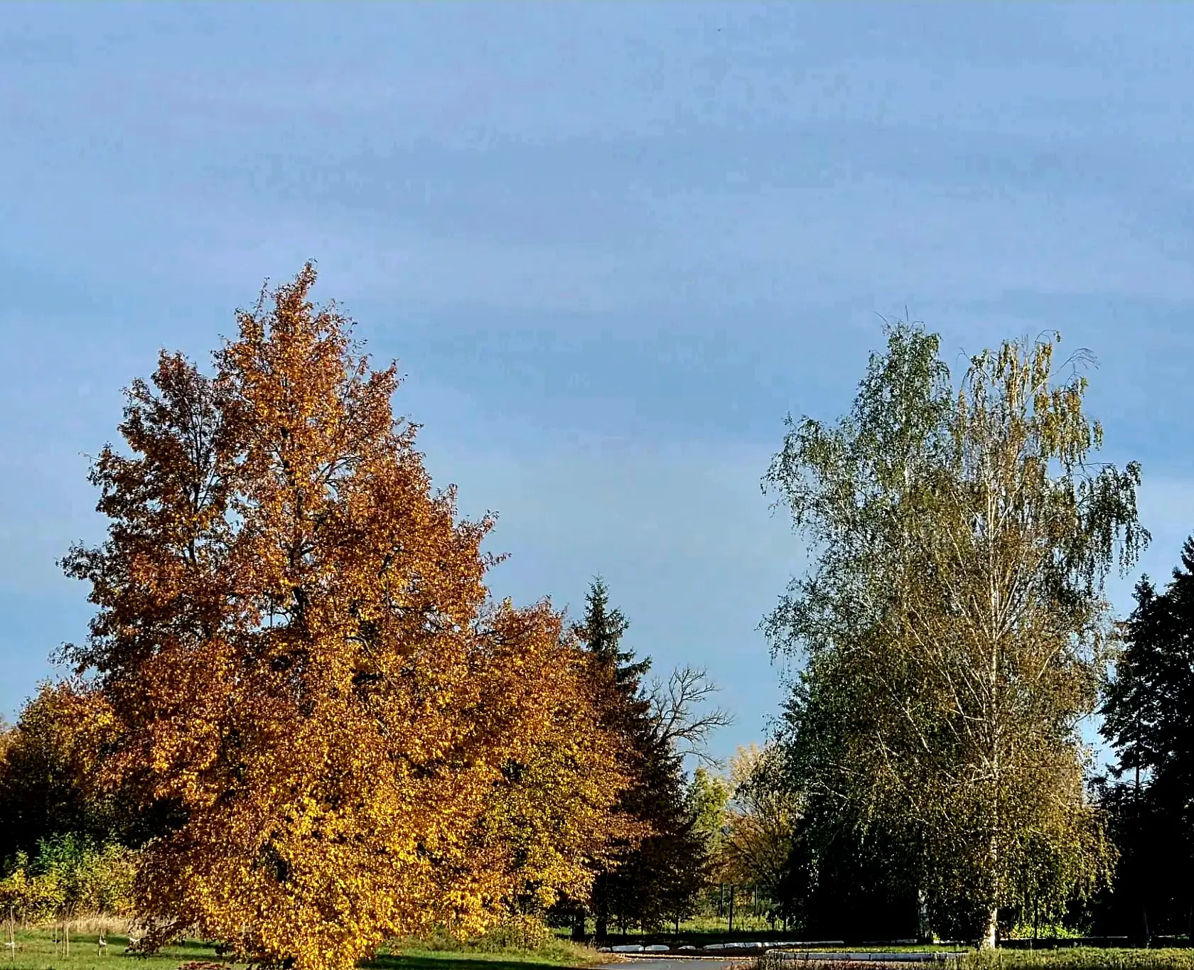 ☀️ Доброе утро, Курский район!