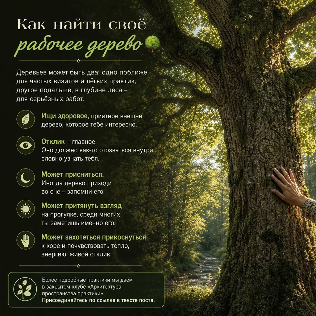 Как найти своё рабочее дерево. 🌳