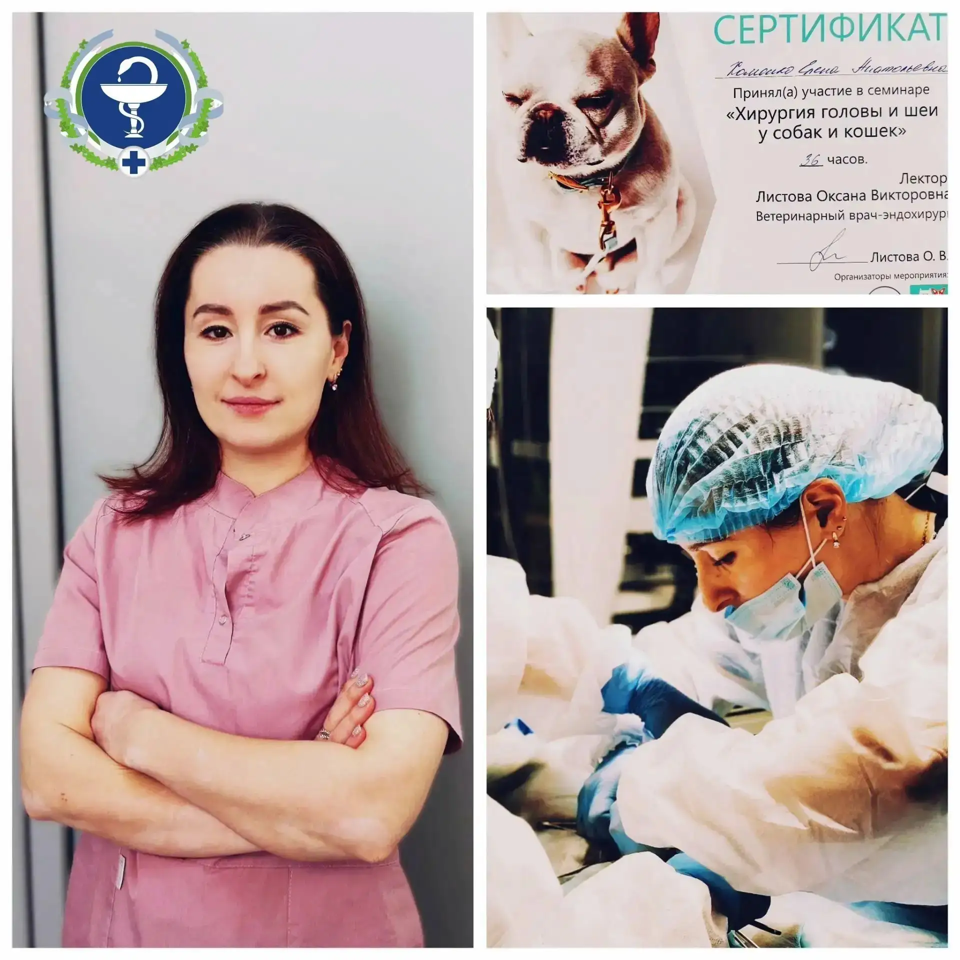 Начинаем рубрику - Знакомство со специалистами ОГАУ "Томское ветобъединение".