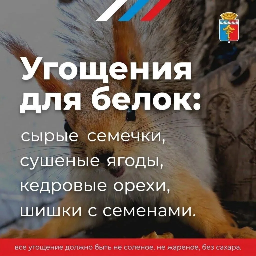 Чем угостить белок