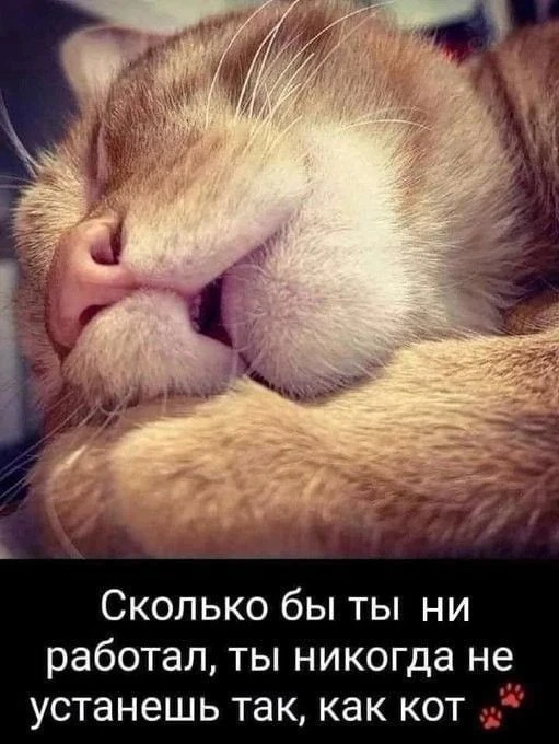 https://max.ru/channel_kartinka_advice
