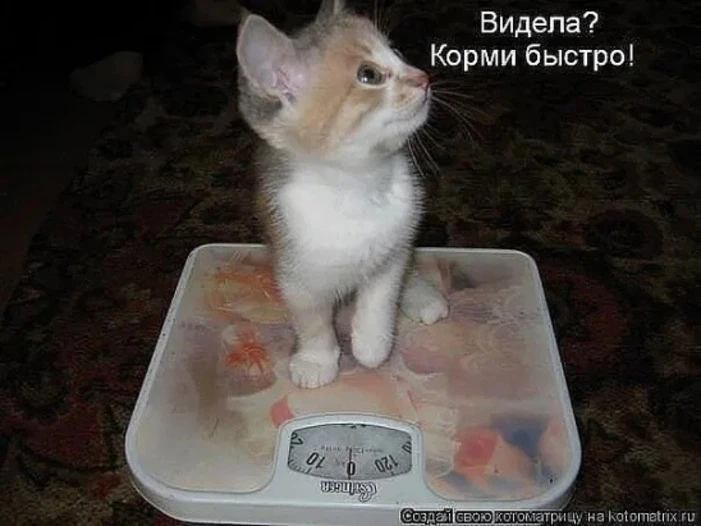 Улыбаемся, хорошим настроением заряжаемся!  😊