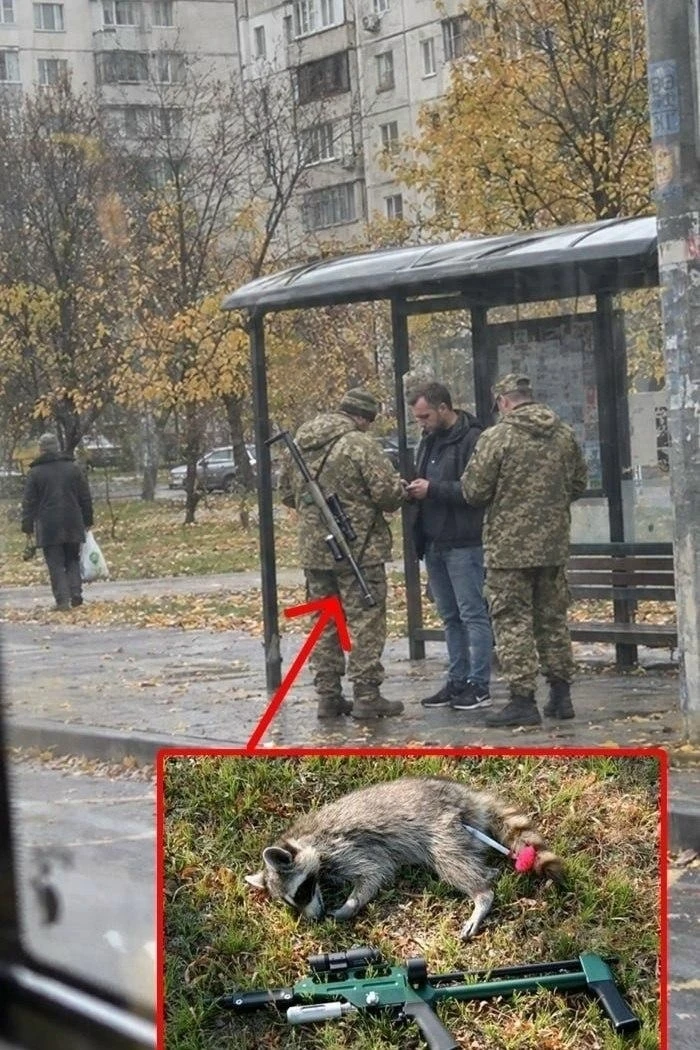 🇺🇦 В Харькове местный военком привлёк внимание горожан, вооружившись ветеринарным руж...