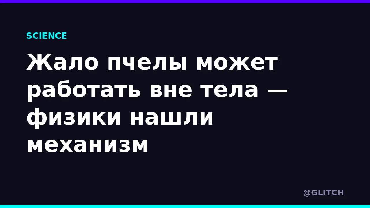 Жало пчелы может работать вне тела — физики нашли механизм