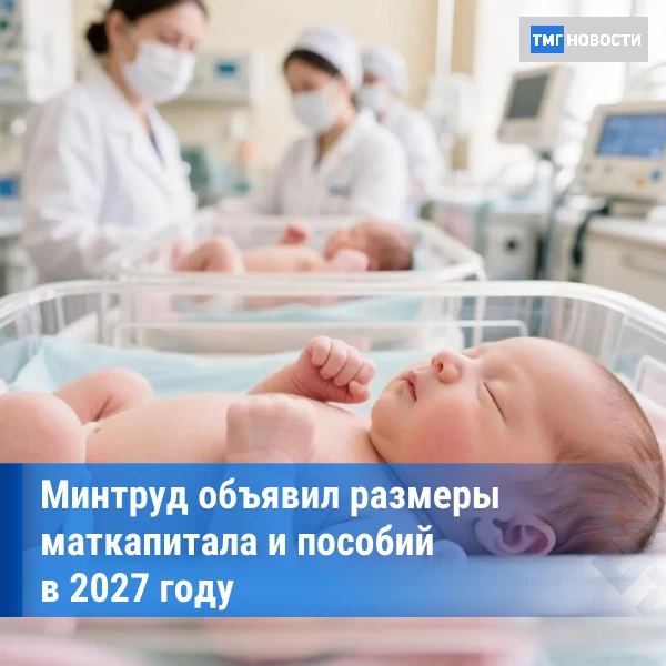 ⚡Минтруд объявил размеры маткапитала в 2027 году