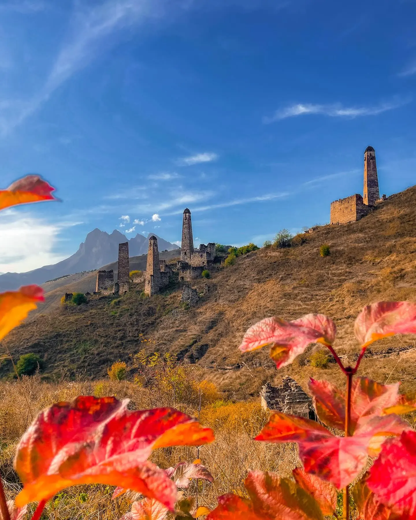 🍁1уйре дика хийла шун!