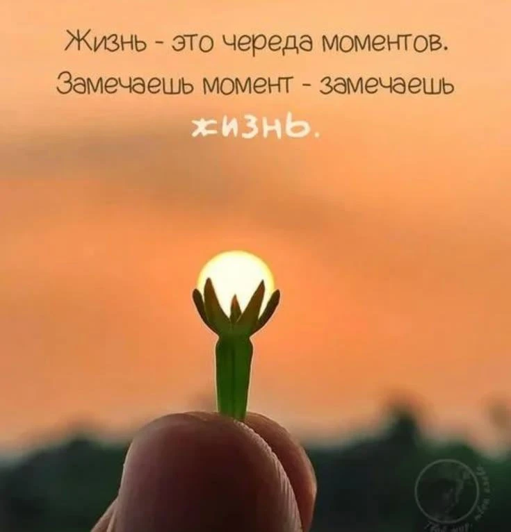 🫶 Доброго дня, влюбленные в ЖИЗНЬ!