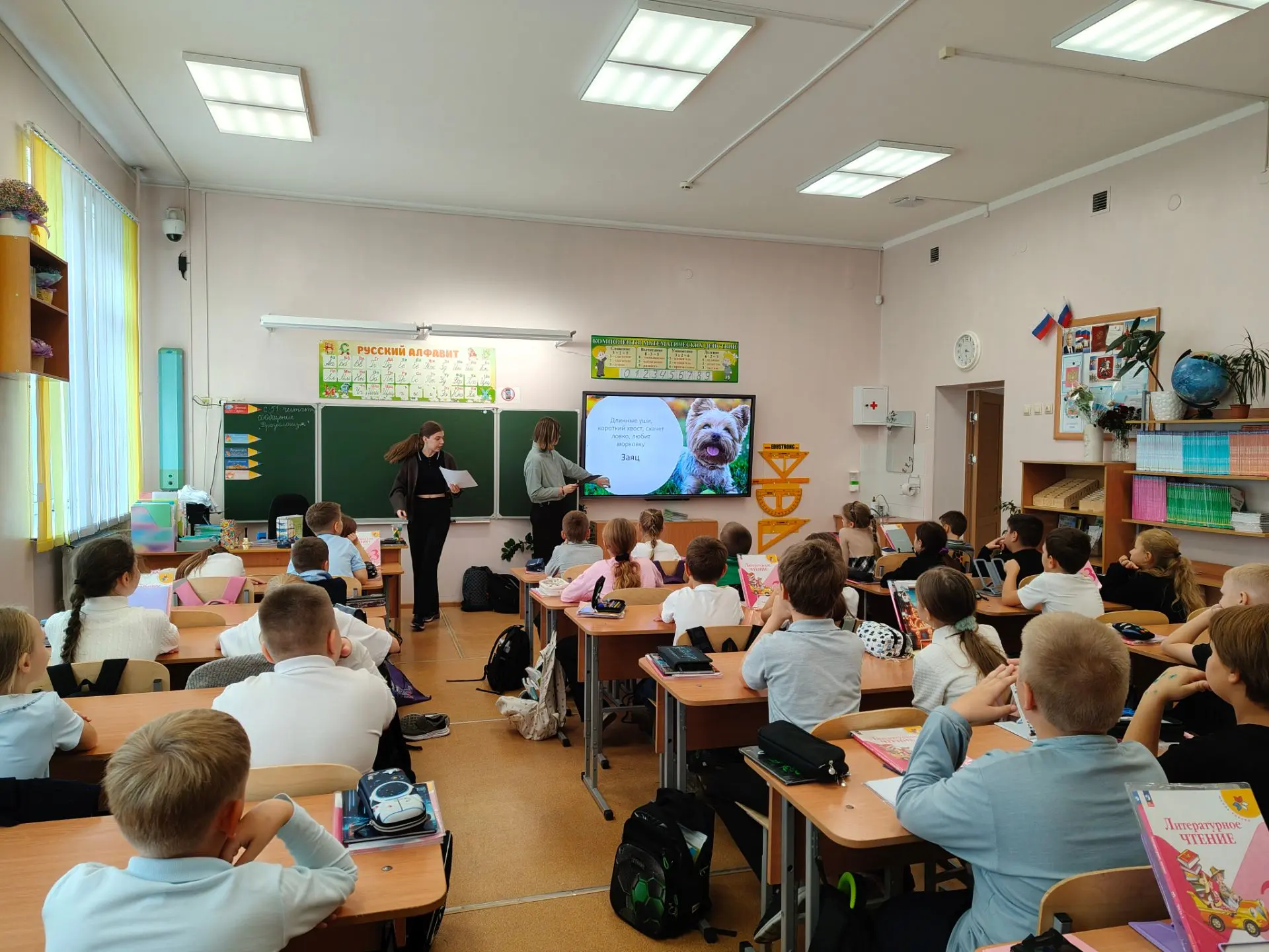 🦊 В мире животных 🐥