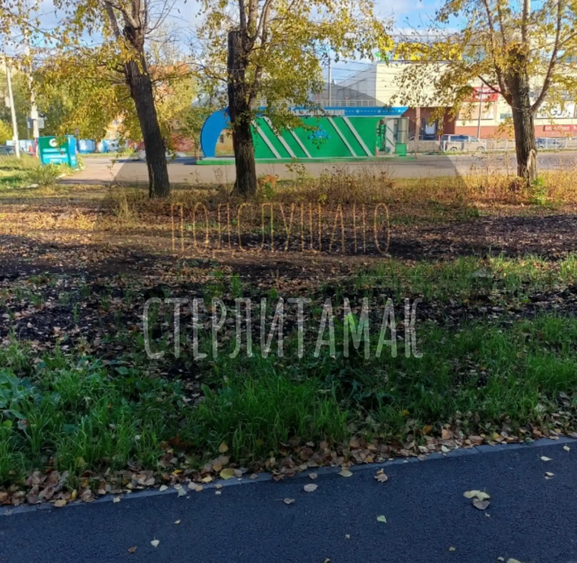 ❗️Стая собак на Гоголя..