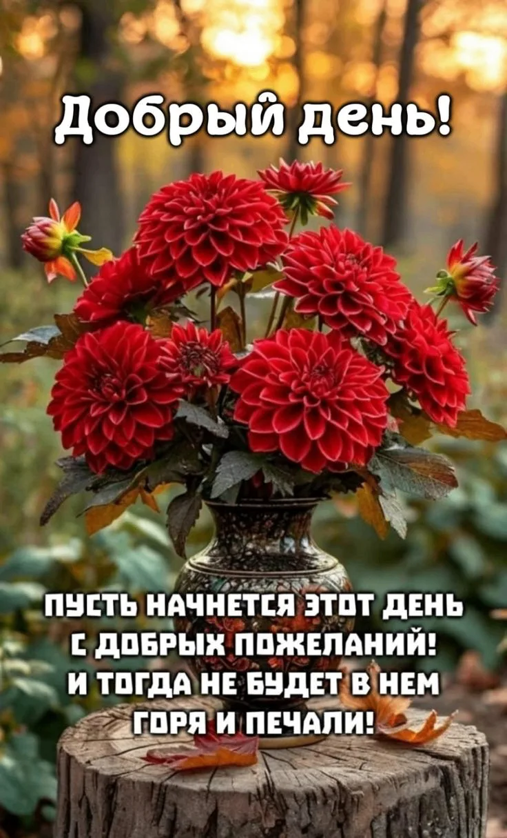 Открыточки - Подписаться