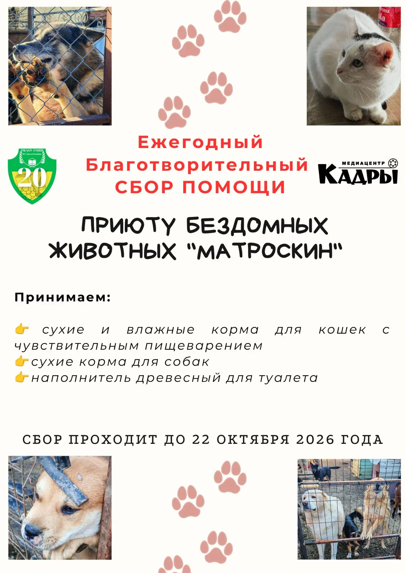 🐾 Поможем тем, кто ждёт заботы и дома! ❤️