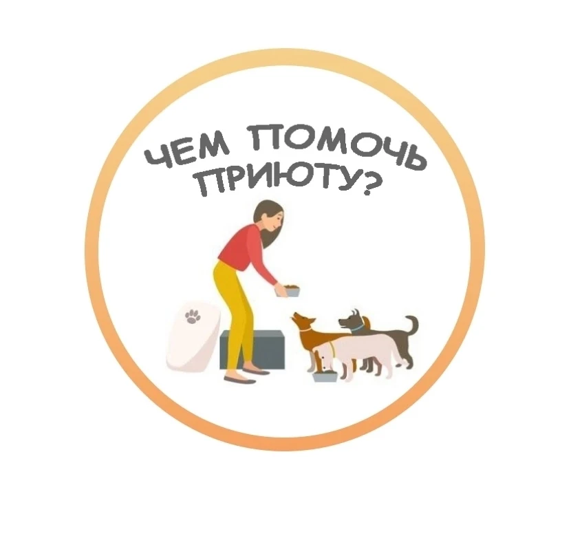 ✨ 4 октября отмечается Всемирный день животных