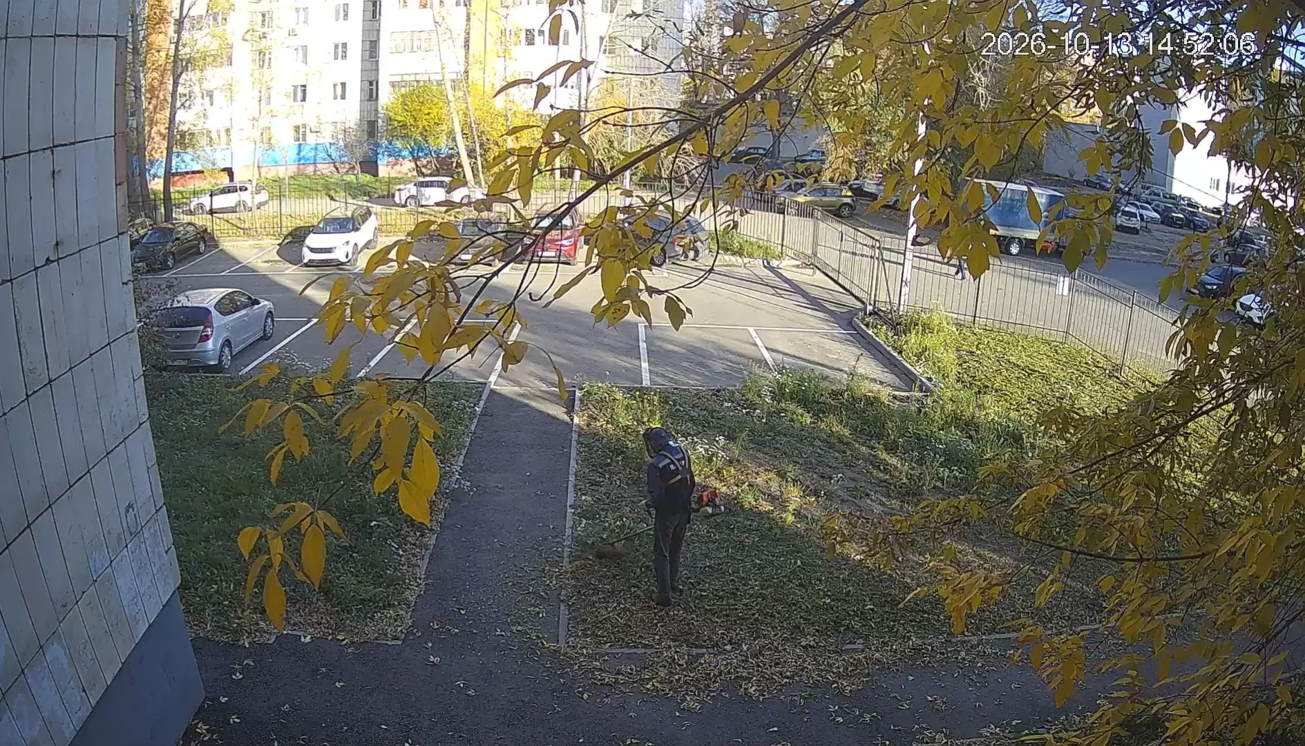 🌿Покос травы д. 83 по пр-кт Ямашева, г. Казань
