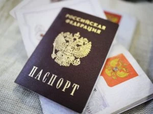 Кто виноват, если пальма оказалась березой: туристам наконец-то назовут крайнего