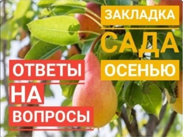 Когда лучше закладывать сад?