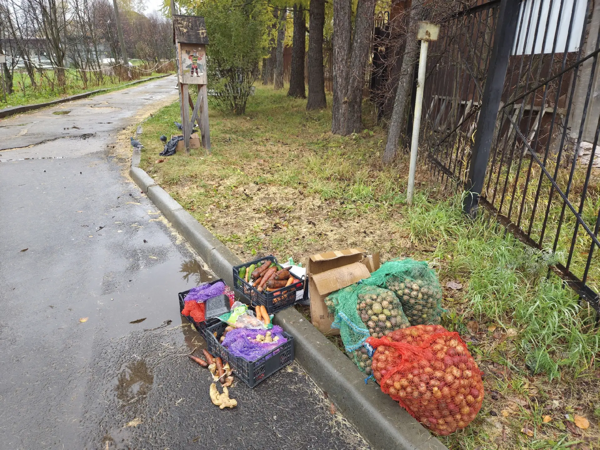 Гниющие продукты, крысы и мыши: жители жалуются на антисанитарию возле зоопарка