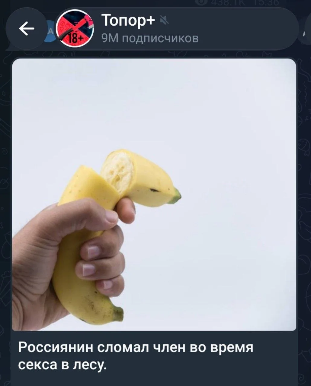 Больше интересует, что с медведем?