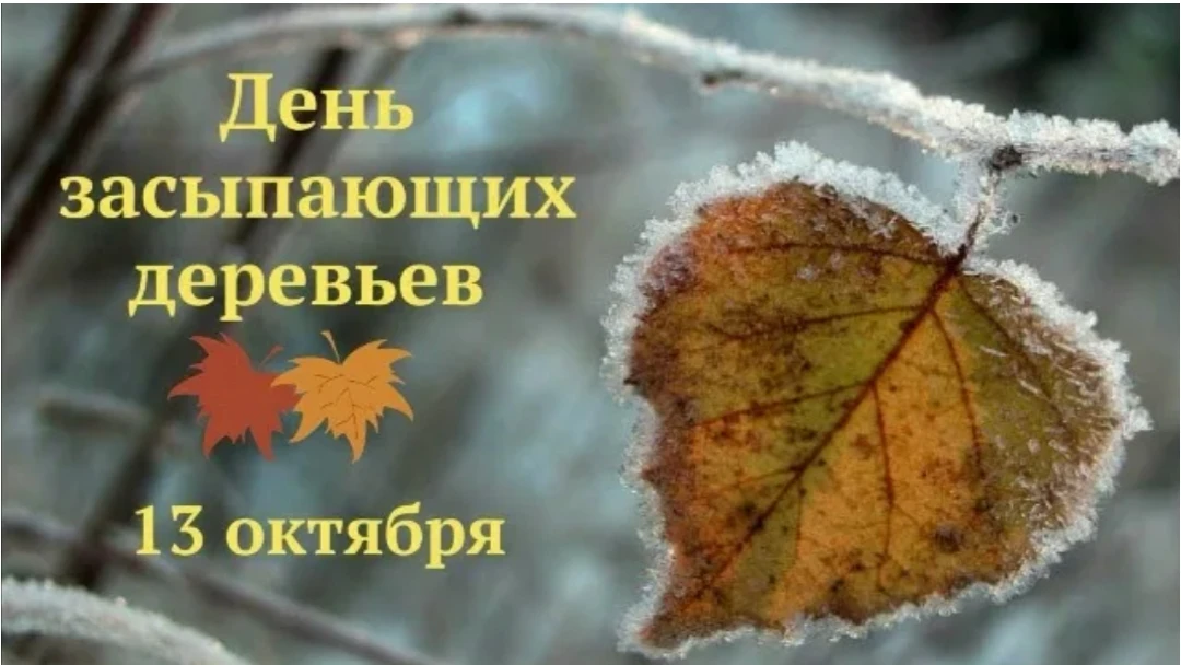 🧐 Что отмечают 13 октября?