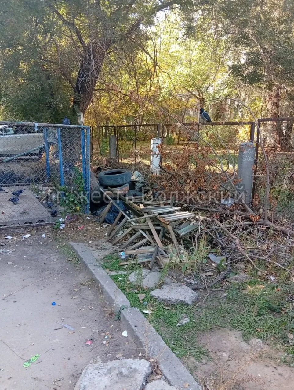На площади Труда, 7 образовалась стихийная свалка из досок, хвороста и покрышек. Весь э...