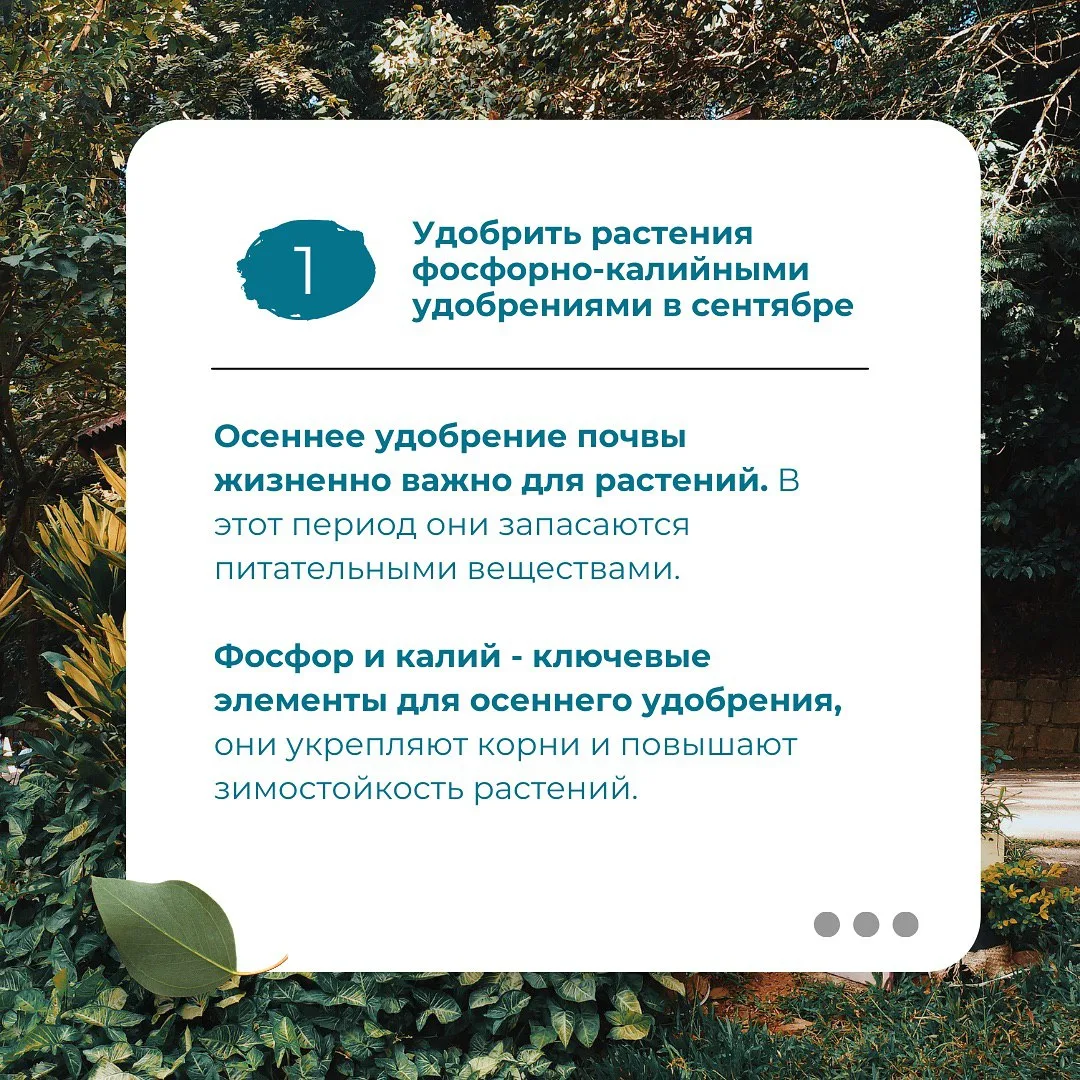 👉7 правил, которые помогут вашему саду пережить холода🔥