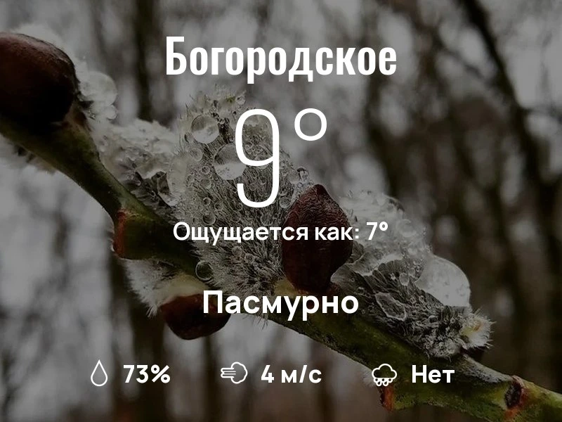 Что с погодой в Богородском?