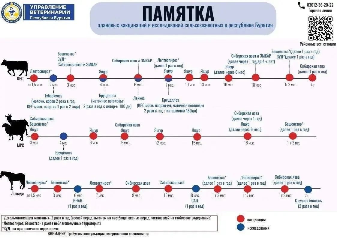 📣О профилактических