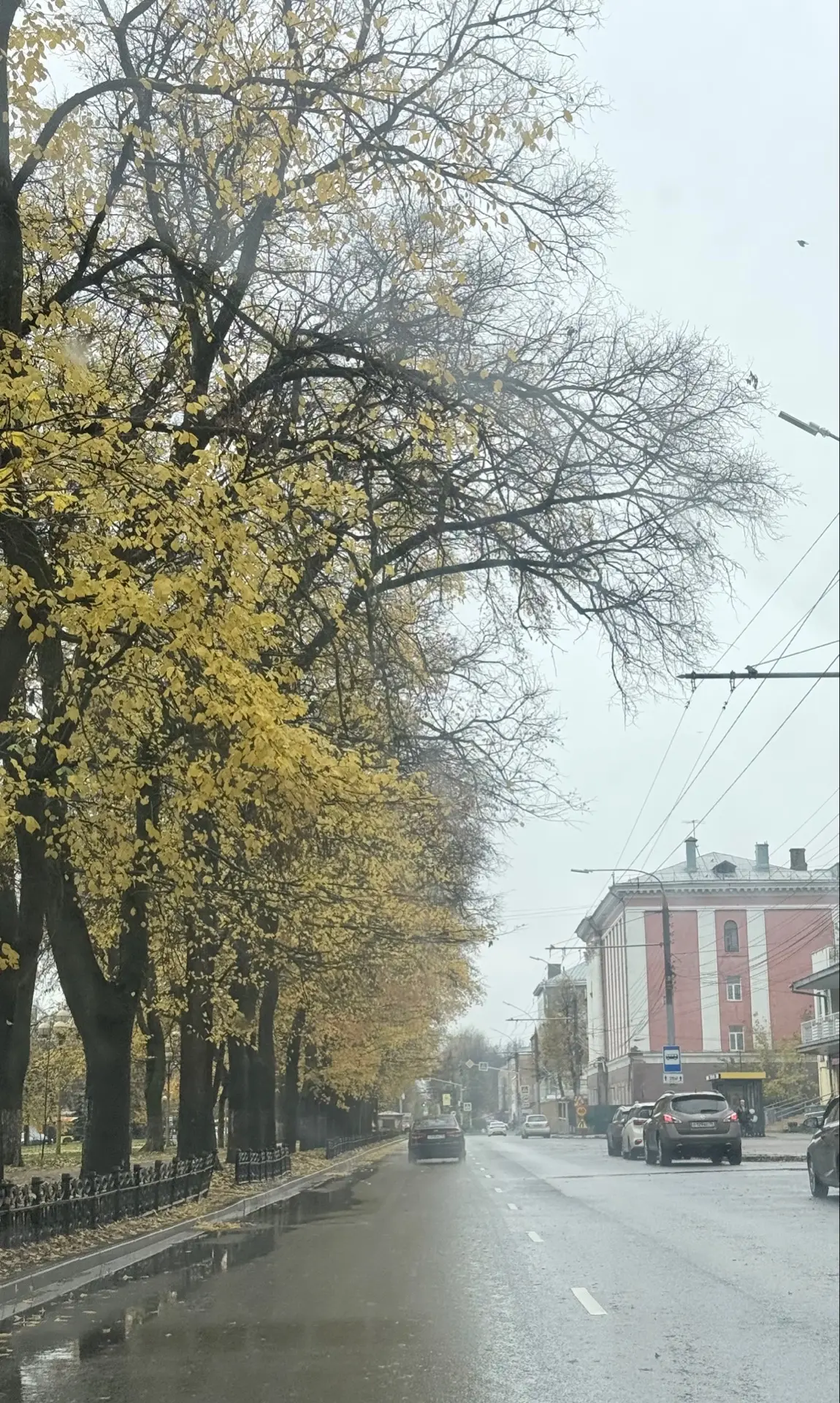 Мы сегодн в городе. Много дел. В 12 встреча, потом маникюр, затем к папе в больницу, ещ...