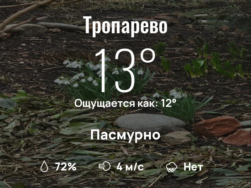 Что с погодой в Тропарево?