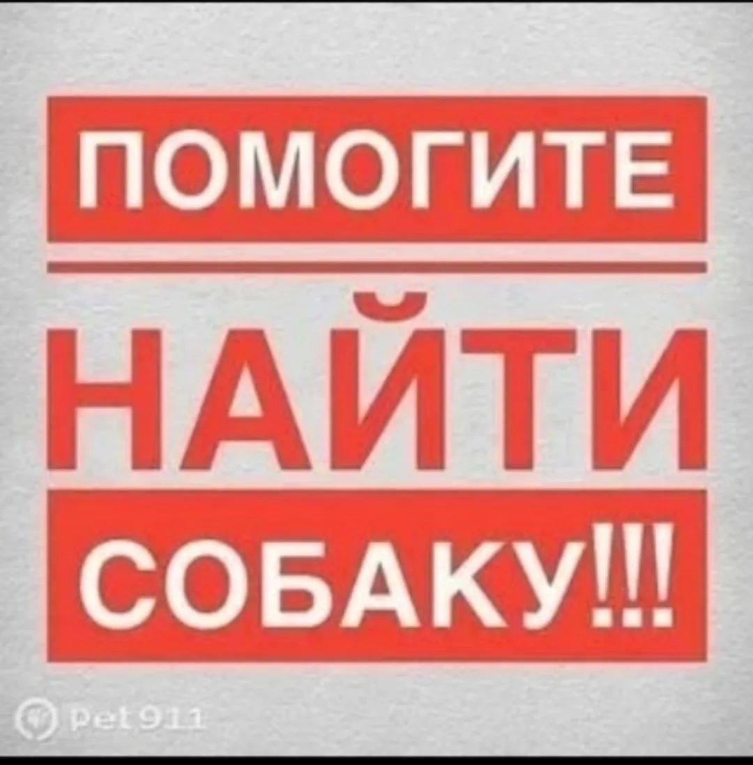 🆘💔 АЛАПАЕВСК, УМОЛЯЕМ О ПОМОЩИ! МЫ СХОДИМ С УМА ОТ ГОРЯ И БЕССИЛИЯ…