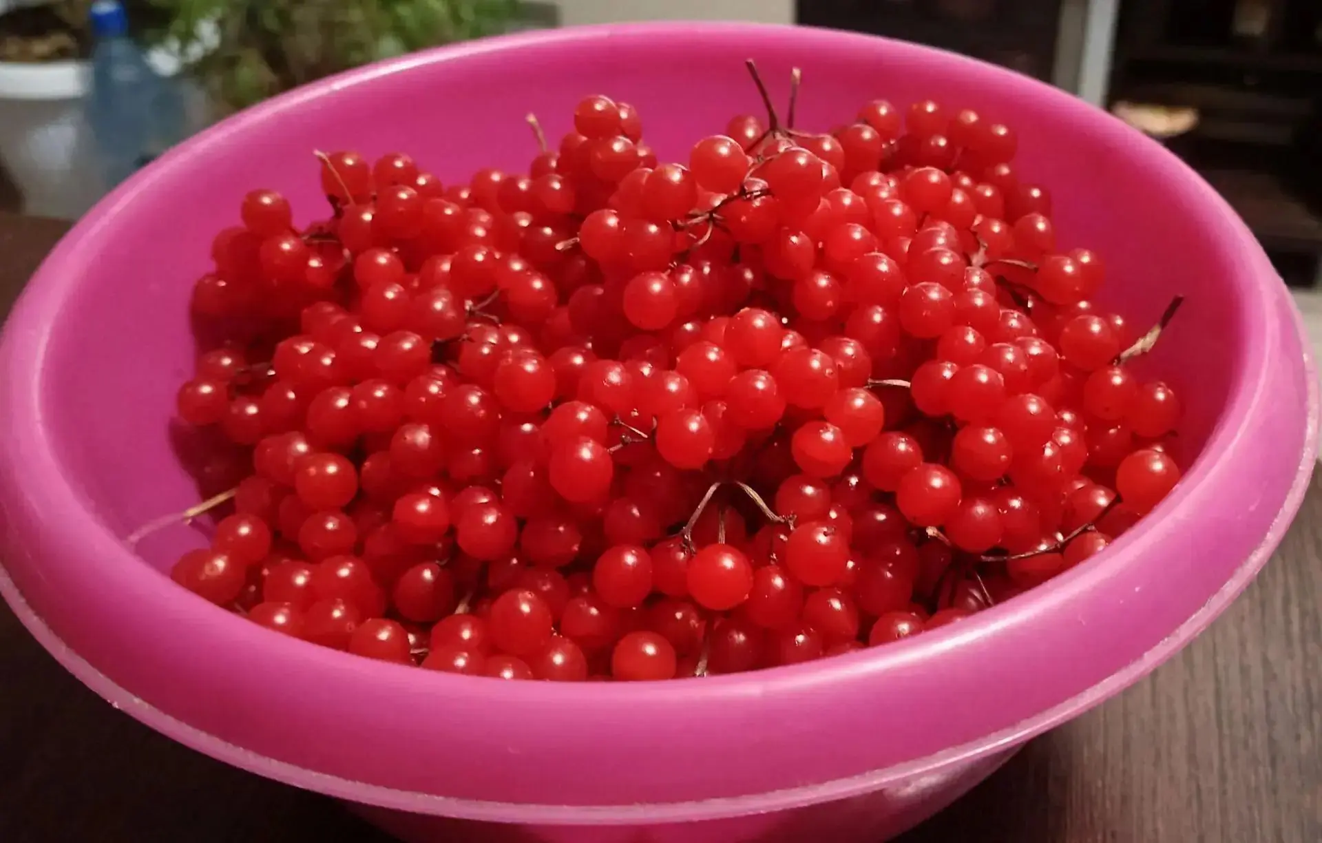 Продам калину, цена 200 руб./л (с горкой). Самовывоз район ул. Смоленская. 89242759040