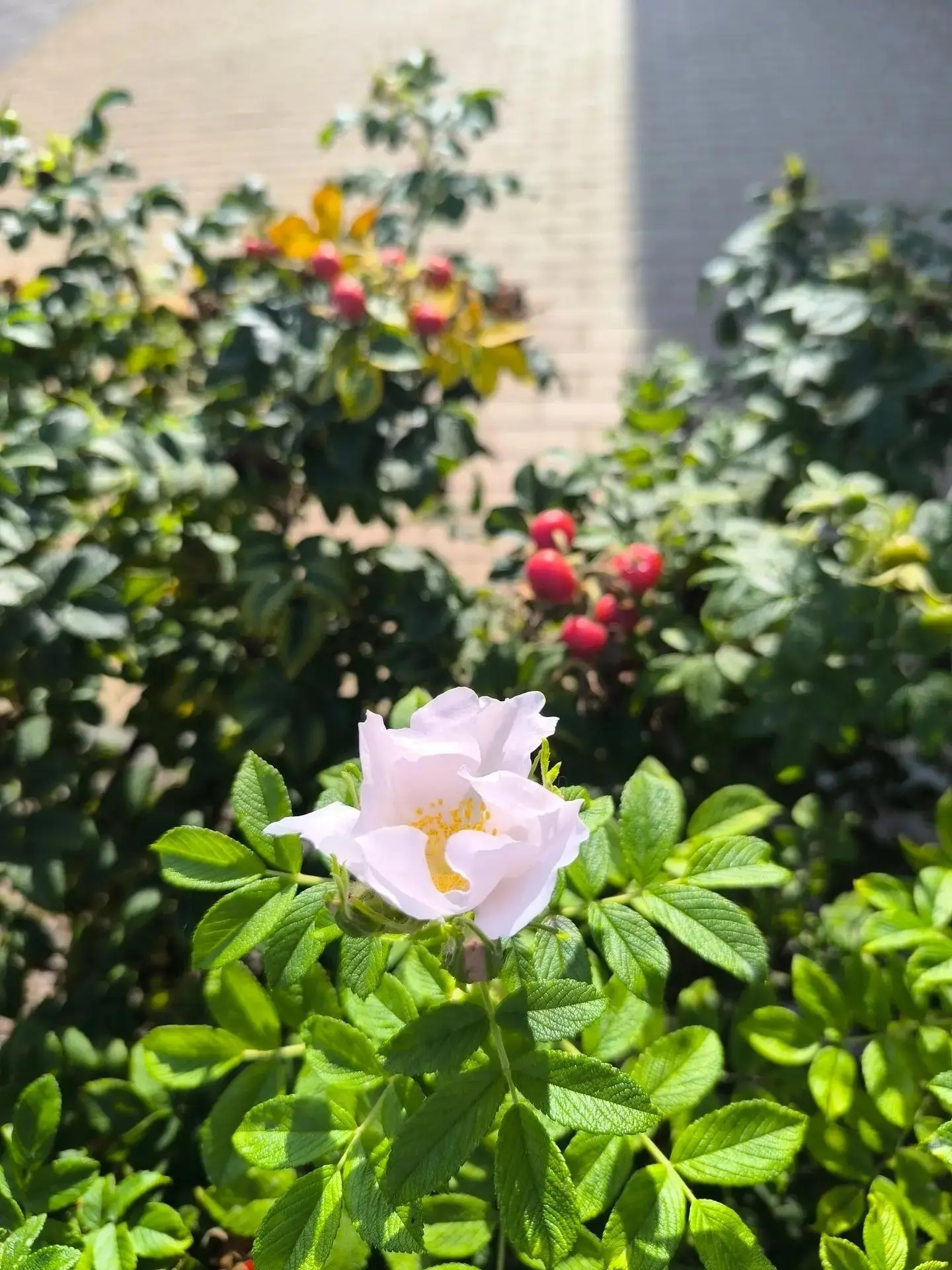В Нижегородской области снова весна? 🙄