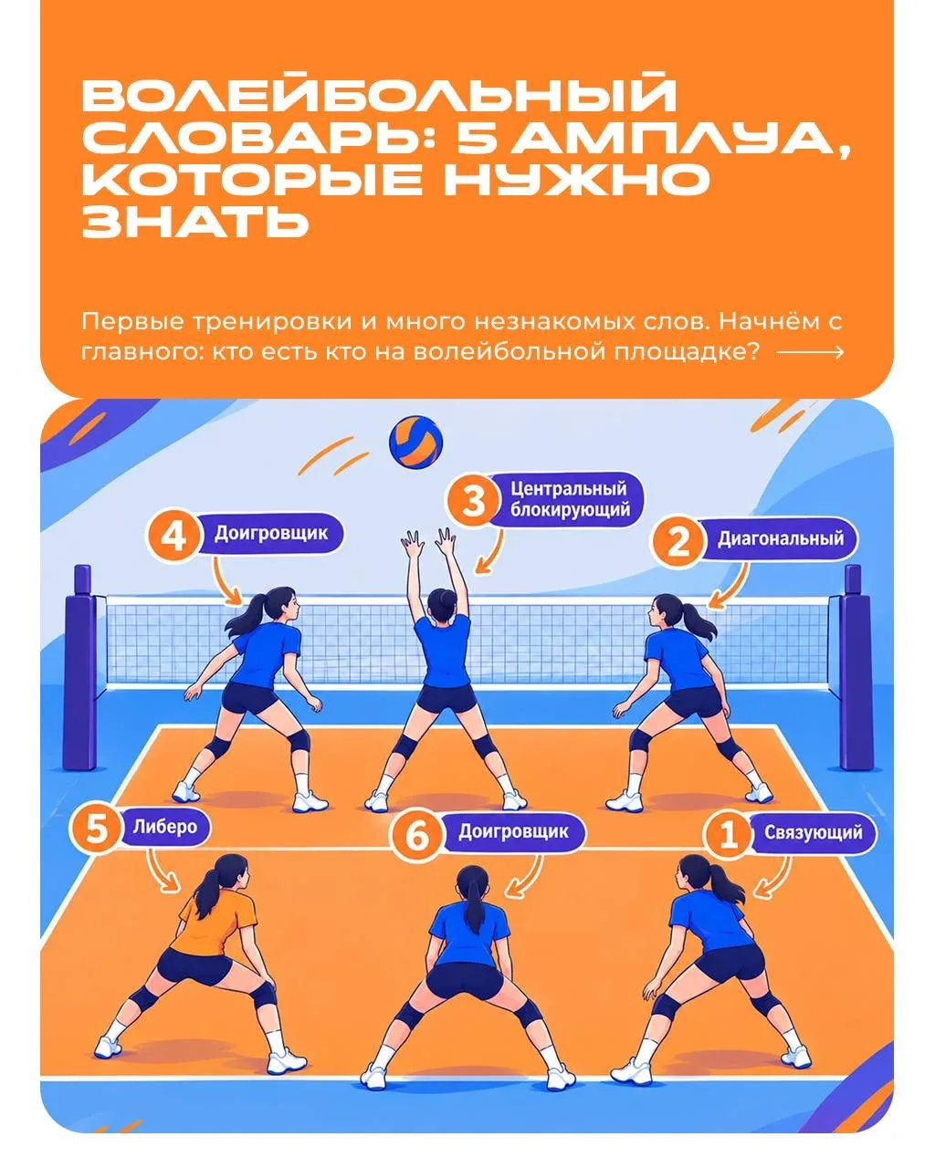 Волейбольный словарь: 5 амплуа, которые нужно знать 🐻
